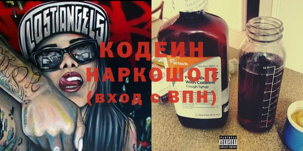 прущий лед Бородино