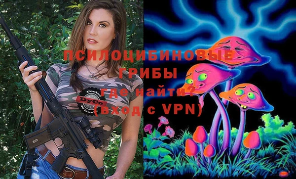 прущий лед Бородино