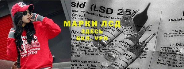 прущий лед Бородино