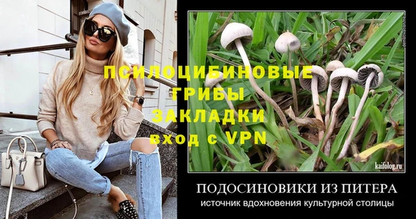 прущий лед Бородино