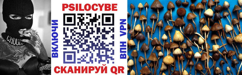 наркошоп Гуково Псилоцибиновые грибы Magic Shrooms
